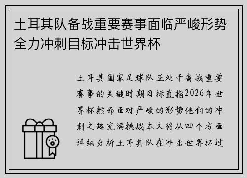 土耳其队备战重要赛事面临严峻形势全力冲刺目标冲击世界杯